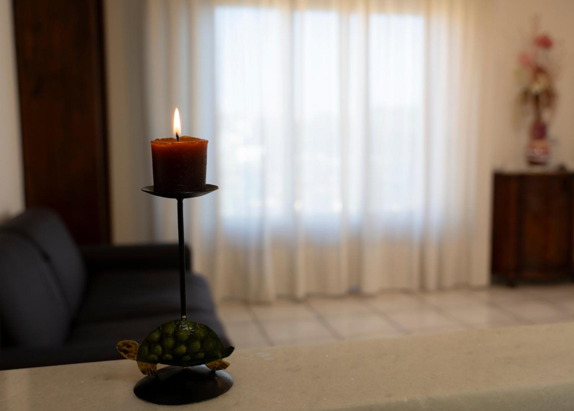 La Tartaruga Apartment เซียนา ภายนอก รูปภาพ